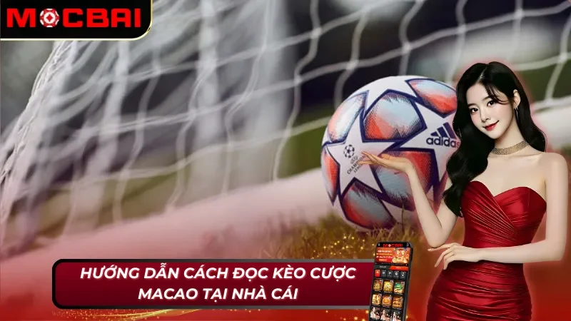 Kèo Macao - Tất Tần Tật Những Điều Cược Thủ Mocbai Cần Biết 4 Chi tiết cách đọc kèo Macao Mocbai