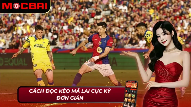 Hướng Dẫn Chi Tiết Cách Đặt Cược Kèo Malaysia Tại Mocbai 4 Cách đọc kèo Malaysia MocBai rất đơn giản